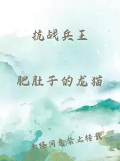 抗戰(zhàn)兵王